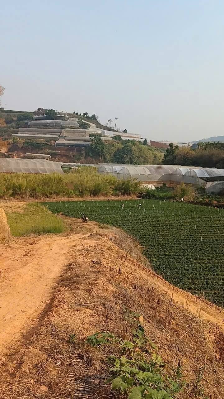 Cần Bán Gấp Đất rộng sổ riêng NN tại Trại Mát, Đà Lạt 4500m2 giá 1,6tỷ/sào - Ảnh chính